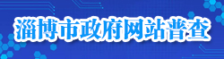 淄博市政府網(wǎng)站普查